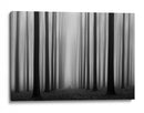Sendero del bosque brumoso - Jochen Bongaerts | Cuadro decorativo de Canvas Lab
