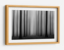 Sendero del bosque brumoso - Jochen Bongaerts | Cuadro decorativo de Canvas Lab