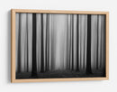 Sendero del bosque brumoso - Jochen Bongaerts | Cuadro decorativo de Canvas Lab