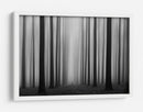 Sendero del bosque brumoso - Jochen Bongaerts | Cuadro decorativo de Canvas Lab