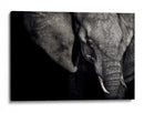 Retrato oscuro de elefante - Piet Flour | Cuadro decorativo de Canvas Lab