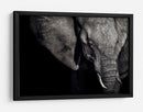 Retrato oscuro de elefante - Piet Flour | Cuadro decorativo de Canvas Lab