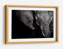 Retrato oscuro de elefante - Piet Flour | Cuadro decorativo de Canvas Lab