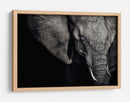 Retrato oscuro de elefante - Piet Flour | Cuadro decorativo de Canvas Lab