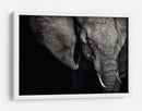 Retrato oscuro de elefante - Piet Flour | Cuadro decorativo de Canvas Lab
