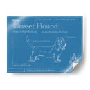 Blueprint Basset Hound - Ethan Harper | Cuadro decorativo de Canvas Lab