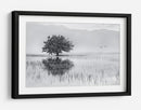 Reflejo de un árbol solitario - Maria Kaimaki | Cuadro decorativo de Canvas Lab