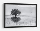 Reflejo de un árbol solitario - Maria Kaimaki | Cuadro decorativo de Canvas Lab