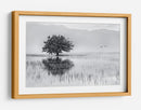 Reflejo de un árbol solitario - Maria Kaimaki | Cuadro decorativo de Canvas Lab