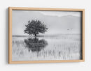 Reflejo de un árbol solitario - Maria Kaimaki | Cuadro decorativo de Canvas Lab