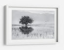 Reflejo de un árbol solitario - Maria Kaimaki | Cuadro decorativo de Canvas Lab