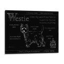 Blueprint Westie - Ethan Harper | Cuadro decorativo de Canvas Lab