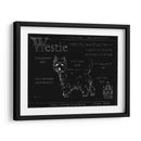 Blueprint Westie - Ethan Harper | Cuadro decorativo de Canvas Lab