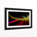 Reflejo de pluma vibrante - Aida Ianeva | Cuadro decorativo de Canvas Lab
