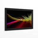 Reflejo de pluma vibrante - Aida Ianeva | Cuadro decorativo de Canvas Lab