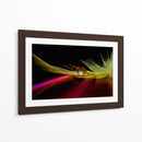 Reflejo de pluma vibrante - Aida Ianeva | Cuadro decorativo de Canvas Lab