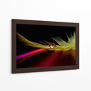 Reflejo de pluma vibrante - Aida Ianeva | Cuadro decorativo de Canvas Lab