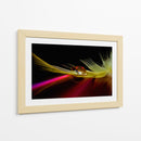 Reflejo de pluma vibrante - Aida Ianeva | Cuadro decorativo de Canvas Lab