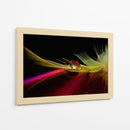 Reflejo de pluma vibrante - Aida Ianeva | Cuadro decorativo de Canvas Lab