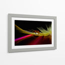 Reflejo de pluma vibrante - Aida Ianeva | Cuadro decorativo de Canvas Lab