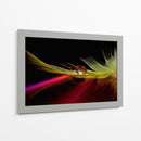 Reflejo de pluma vibrante - Aida Ianeva | Cuadro decorativo de Canvas Lab