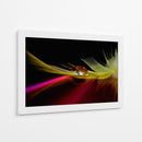 Reflejo de pluma vibrante - Aida Ianeva | Cuadro decorativo de Canvas Lab
