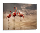 Reflexiones románticas de flamencos - Anna Cseresnjes | Cuadro decorativo de Canvas Lab