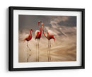Reflexiones románticas de flamencos - Anna Cseresnjes | Cuadro decorativo de Canvas Lab