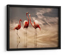 Reflexiones románticas de flamencos - Anna Cseresnjes | Cuadro decorativo de Canvas Lab