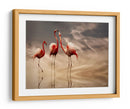 Reflexiones románticas de flamencos - Anna Cseresnjes | Cuadro decorativo de Canvas Lab