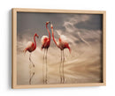 Reflexiones románticas de flamencos - Anna Cseresnjes | Cuadro decorativo de Canvas Lab