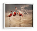 Reflexiones románticas de flamencos - Anna Cseresnjes | Cuadro decorativo de Canvas Lab