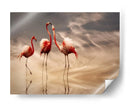 Reflexiones románticas de flamencos - Anna Cseresnjes | Cuadro decorativo de Canvas Lab