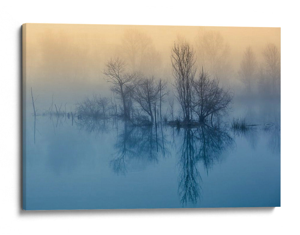 Reflejos del lago fresco y brumoso - David Butali | Cuadro decorativo de Canvas Lab