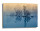 Reflejos del lago fresco y brumoso - David Butali | Cuadro decorativo de Canvas Lab