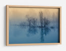 Reflejos del lago fresco y brumoso - David Butali | Cuadro decorativo de Canvas Lab