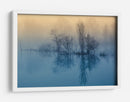 Reflejos del lago fresco y brumoso - David Butali | Cuadro decorativo de Canvas Lab