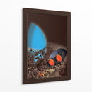 Urano vuela cerca - Nicholas | Cuadro decorativo de Canvas Lab