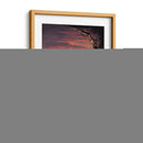 The last Jedi poster | Cuadro decorativo de Canvas Lab