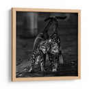 Un suave abrazo felino - nebula | Cuadro decorativo de Canvas Lab