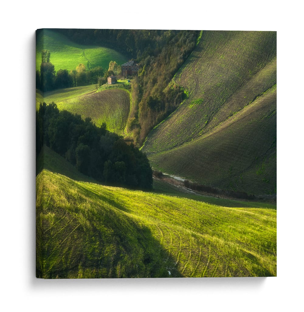 Valle verde Iluminado por el sol - Jarek Pawlak | Cuadro decorativo de Canvas Lab