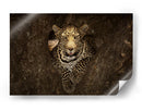 Un leopardo al acecho en un árbol - Ozkan Ozmen / | Cuadro decorativo de Canvas Lab