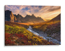 Valle del Río Dorado - Chris Moore | Cuadro decorativo de Canvas Lab