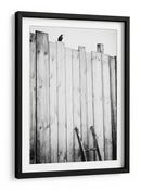 Valla para pájaros solitarios - Jurgen Hartlieb | Cuadro decorativo de Canvas Lab