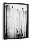 Valla para pájaros solitarios - Jurgen Hartlieb | Cuadro decorativo de Canvas Lab