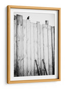 Valla para pájaros solitarios - Jurgen Hartlieb | Cuadro decorativo de Canvas Lab