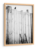 Valla para pájaros solitarios - Jurgen Hartlieb | Cuadro decorativo de Canvas Lab