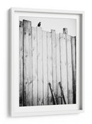 Valla para pájaros solitarios - Jurgen Hartlieb | Cuadro decorativo de Canvas Lab