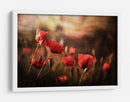 Un campo de amapolas de ensueño con efecto bokeh - Sahar Karami | Cuadro decorativo de Canvas Lab