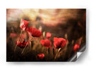 Un campo de amapolas de ensueño con efecto bokeh - Sahar Karami | Cuadro decorativo de Canvas Lab
